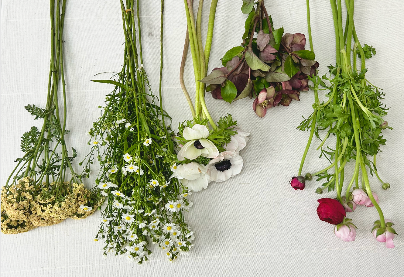 Various types of flowers arranged on a white background